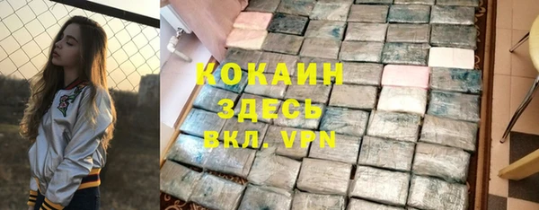 гашик Богданович