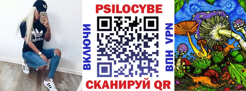 shop наркотические препараты  Бокситогорск  Галлюциногенные грибы прущие грибы  kraken tor 